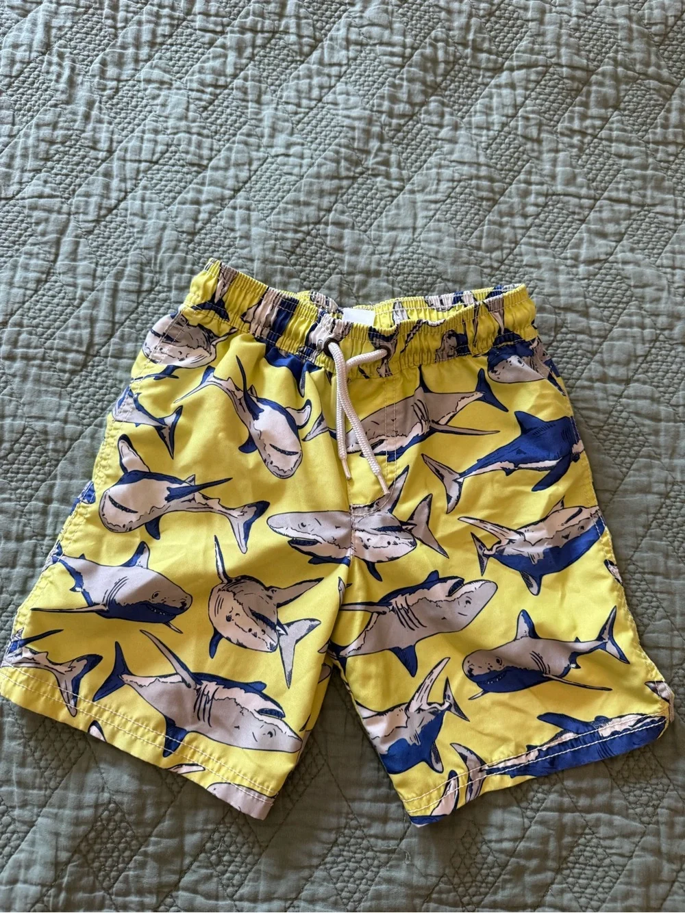 Carter's Blue and Yellow Shark Rashguard Swim Set - Size 5